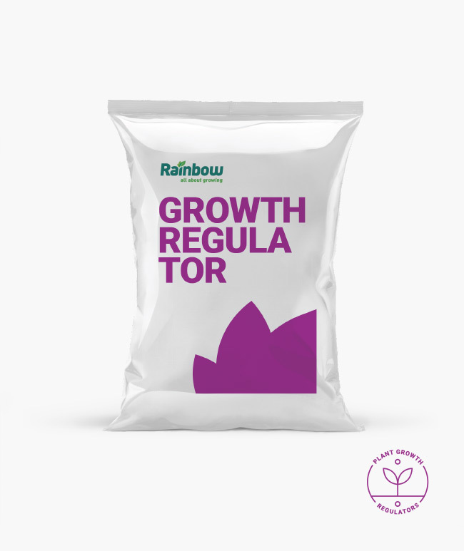 Crop Protection & Agricultural Solutions | Rainbow Agro